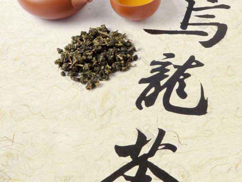 The Origin and Types of Oolong Tea