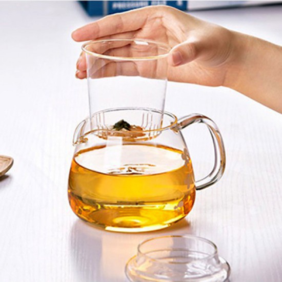 Heat Resistant Glass Teapot Set with 4 Cup