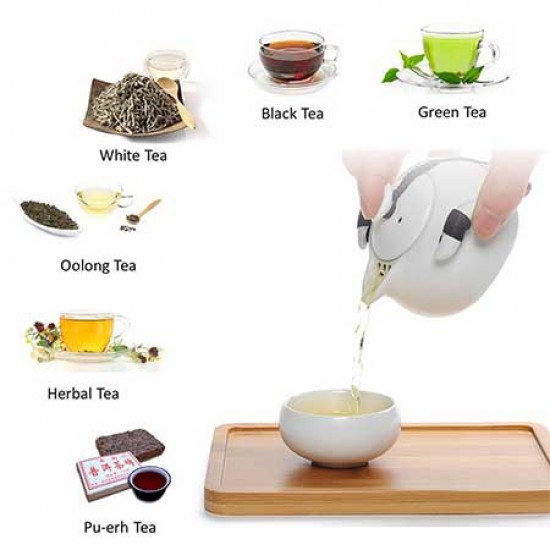 White Travel Portable Ceramic Tea Set
